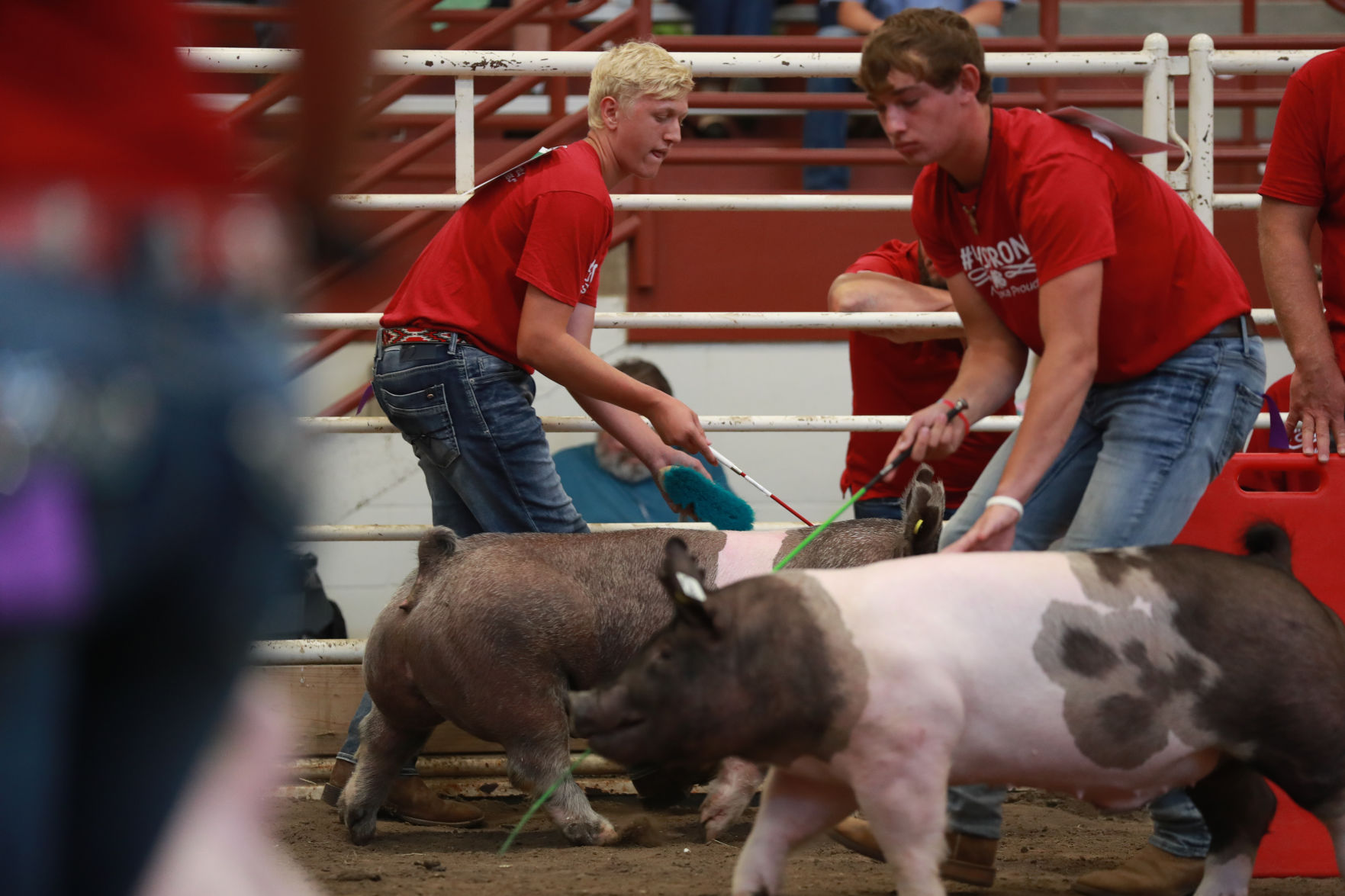 071119_HallCoFair47_bjs.JPG